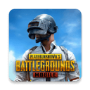 pubg正版手游(PUBG MOBILE)